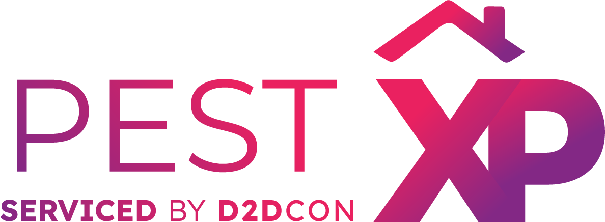 Pest XP — Serviced by D2DCon